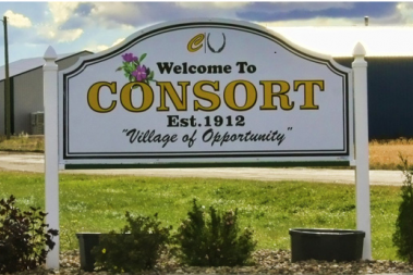 village of consort